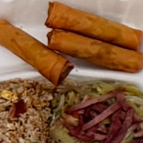 Egg roll dinner with pork chow mein and pork fried rice